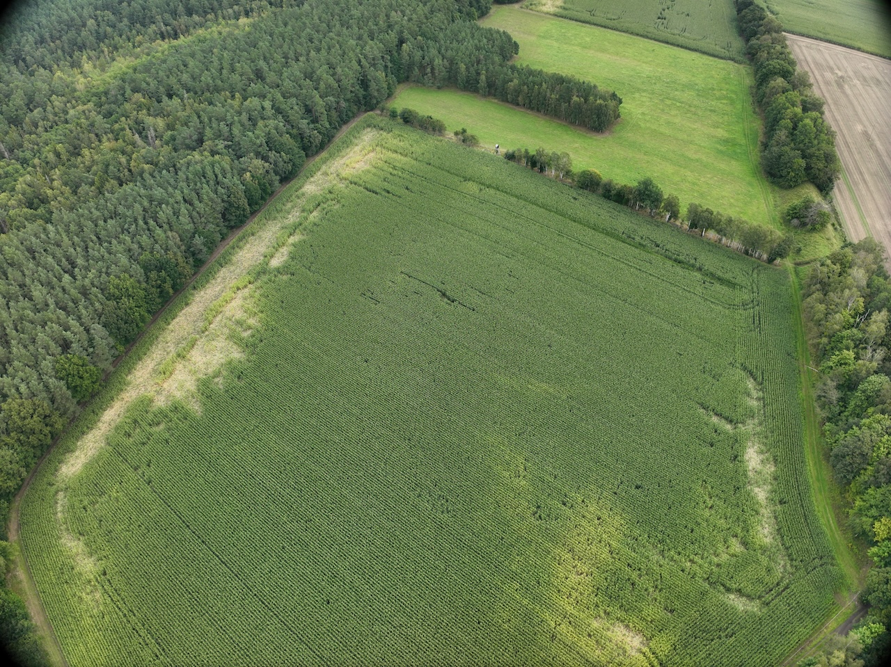 Dokumentacja szkód łowieckich dronem